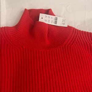 Red Ribbed Turtleneck Sweater